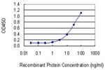 COMT Antibody in ELISA (ELISA)