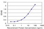 CPA1 Antibody in ELISA (ELISA)