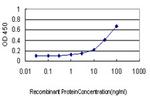 ATF2 Antibody in ELISA (ELISA)