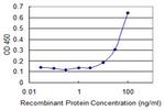 CRHBP Antibody in ELISA (ELISA)