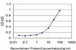 CRX Antibody in ELISA (ELISA)