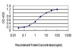 CRYM Antibody in ELISA (ELISA)