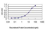 CSE1L Antibody in ELISA (ELISA)