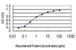 CSF1R Antibody in ELISA (ELISA)