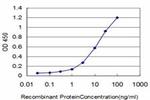 CSF1R Antibody in ELISA (ELISA)