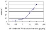 CSNK1D Antibody in ELISA (ELISA)