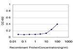 CSNK2A1 Antibody in ELISA (ELISA)