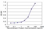 CSNK2A2 Antibody in ELISA (ELISA)