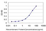 CTNS Antibody in ELISA (ELISA)