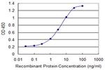 CTNNB1 Antibody in ELISA (ELISA)