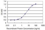 CTNNB1 Antibody in ELISA (ELISA)