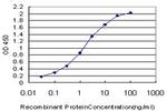 CUTL1 Antibody in ELISA (ELISA)