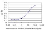 CYP1B1 Antibody in ELISA (ELISA)