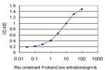 CYP24A1 Antibody in ELISA (ELISA)