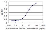 DAP Antibody in ELISA (ELISA)