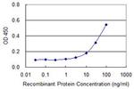 DAXX Antibody in ELISA (ELISA)