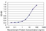 DCK Antibody in ELISA (ELISA)