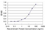 DCK Antibody in ELISA (ELISA)