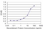 DCK Antibody in ELISA (ELISA)