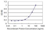 DCK Antibody in ELISA (ELISA)