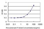 DCK Antibody in ELISA (ELISA)