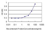 DCN Antibody in ELISA (ELISA)