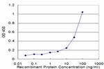 DCN Antibody in ELISA (ELISA)