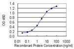 DCTD Antibody in ELISA (ELISA)