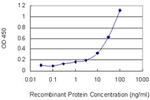 DCTN1 Antibody in ELISA (ELISA)