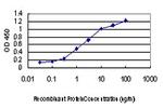 DDIT3 Antibody in ELISA (ELISA)