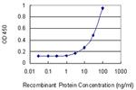 DDOST Antibody in ELISA (ELISA)