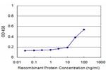 DDT Antibody in ELISA (ELISA)