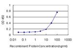 DEFB4 Antibody in ELISA (ELISA)