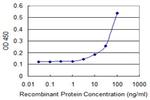 DFNA5 Antibody in ELISA (ELISA)