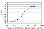 DHFR Antibody in ELISA (ELISA)