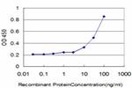 DLD Antibody in ELISA (ELISA)