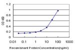 DLX1 Antibody in ELISA (ELISA)