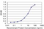 DLX1 Antibody in ELISA (ELISA)