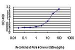 DLX2 Antibody in ELISA (ELISA)