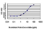 DLX2 Antibody in ELISA (ELISA)