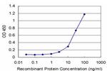 DLX2 Antibody in ELISA (ELISA)