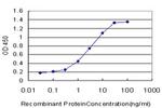 DLX5 Antibody in ELISA (ELISA)