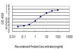 DLX5 Antibody in ELISA (ELISA)