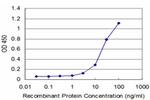 DLX5 Antibody in ELISA (ELISA)