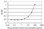 DPAGT1 Antibody in ELISA (ELISA)