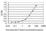 DPH2 Antibody in ELISA (ELISA)