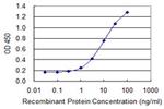 DPYSL3 Antibody in ELISA (ELISA)