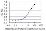 SLC26A3 Antibody in ELISA (ELISA)