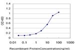 DSCR1 Antibody in ELISA (ELISA)