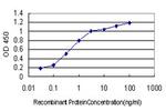 TSC22D3 Antibody in ELISA (ELISA)